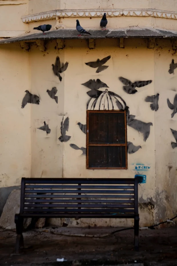 Pigeons coming off a wall above an empty bench.