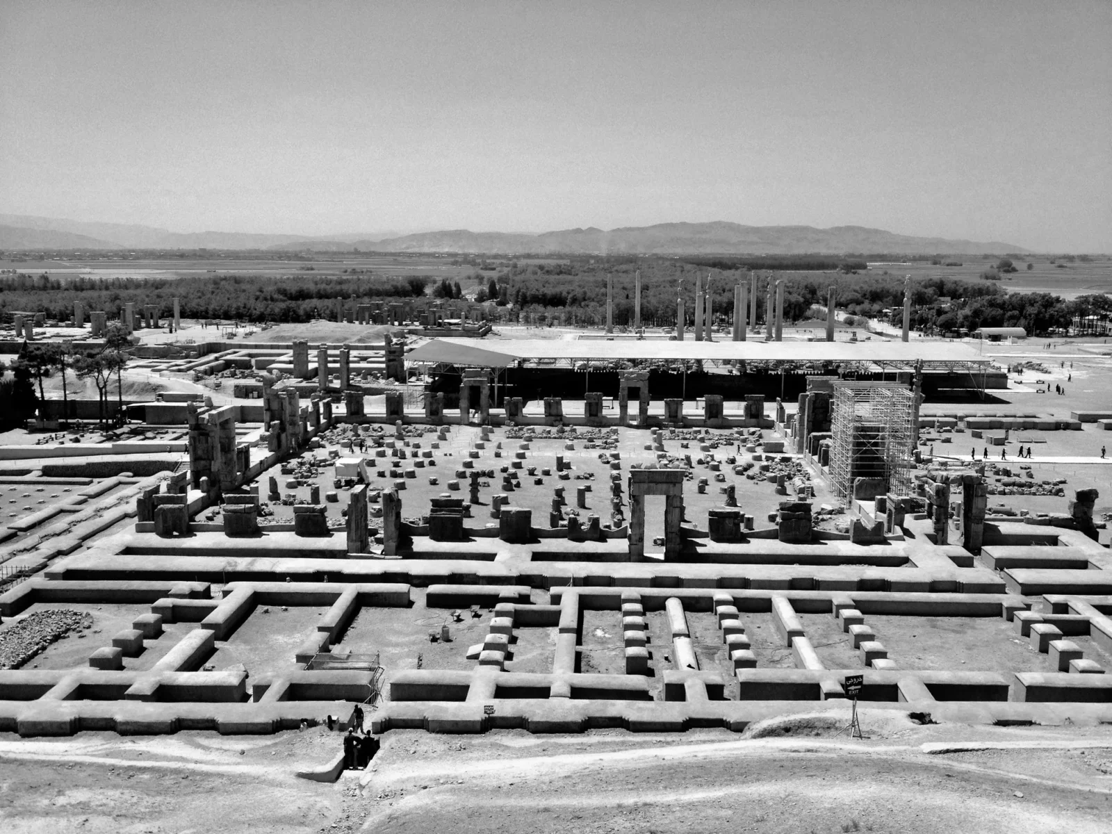 Persepolis column bases from above, black and white.