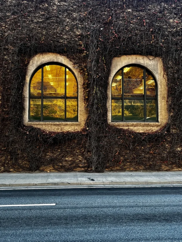 Two arched windows lit gold in a dark rough wall.