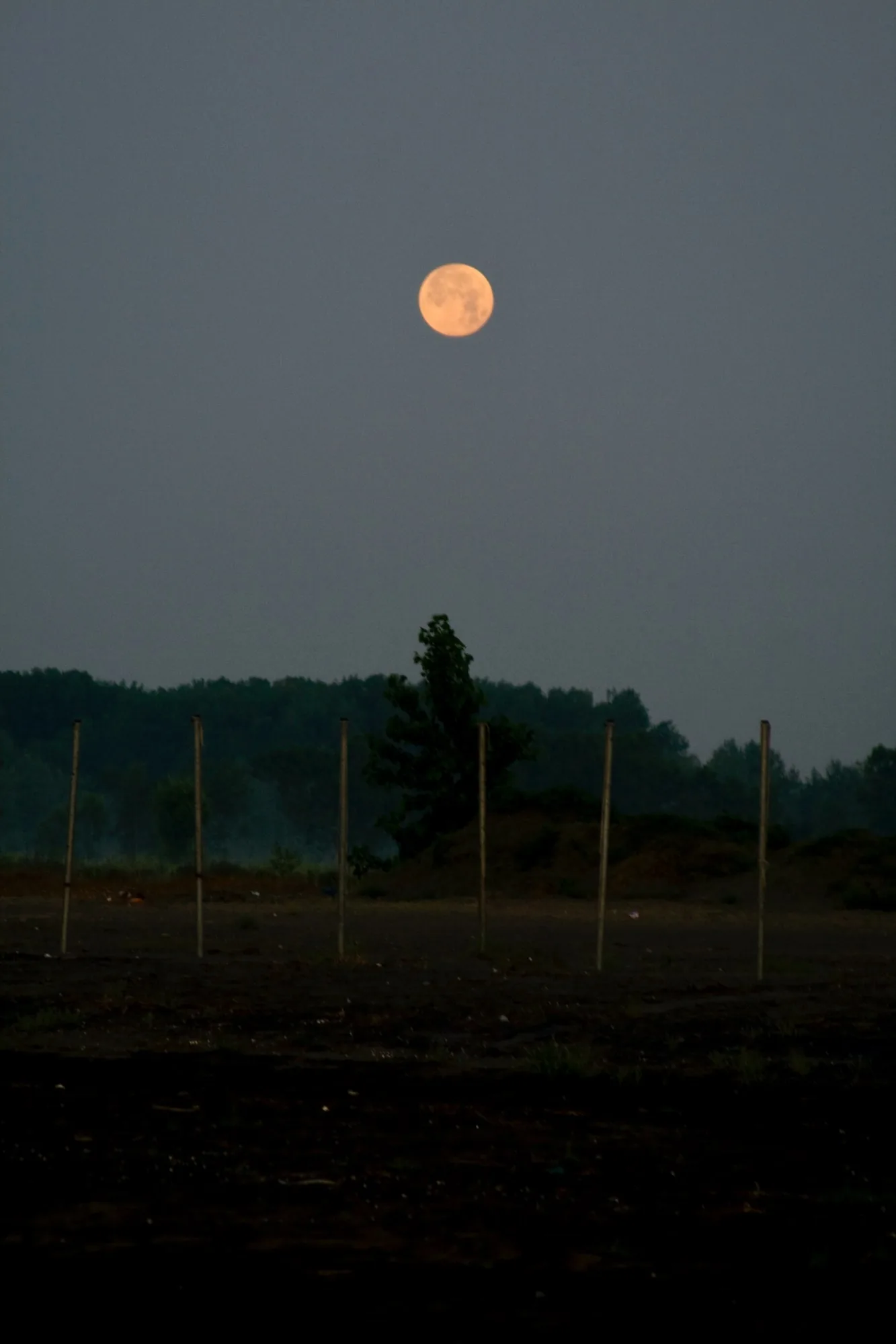 A low moon over a dusk field with poles.