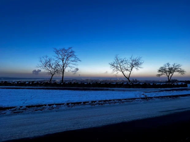 Blue hour, snow, bare trees along a shoreline.