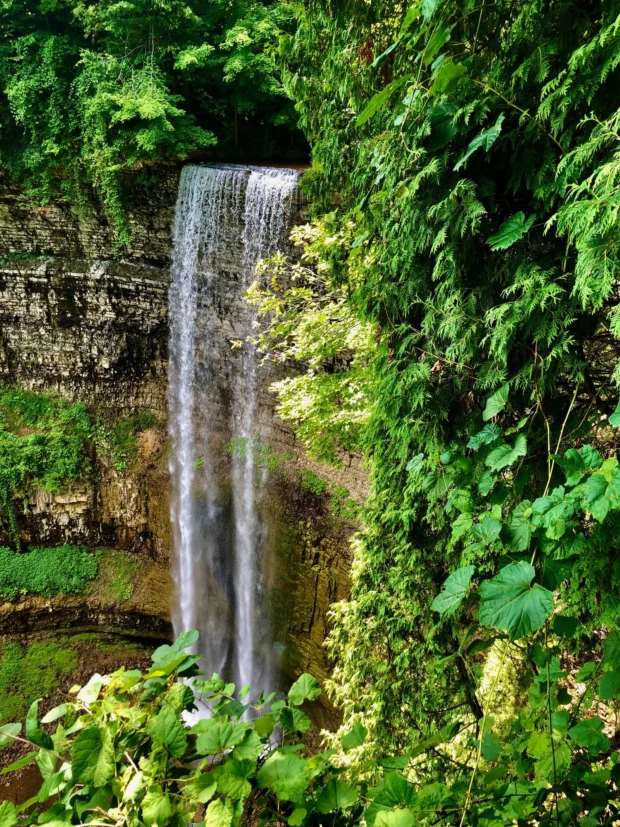 A waterfall in dense green.