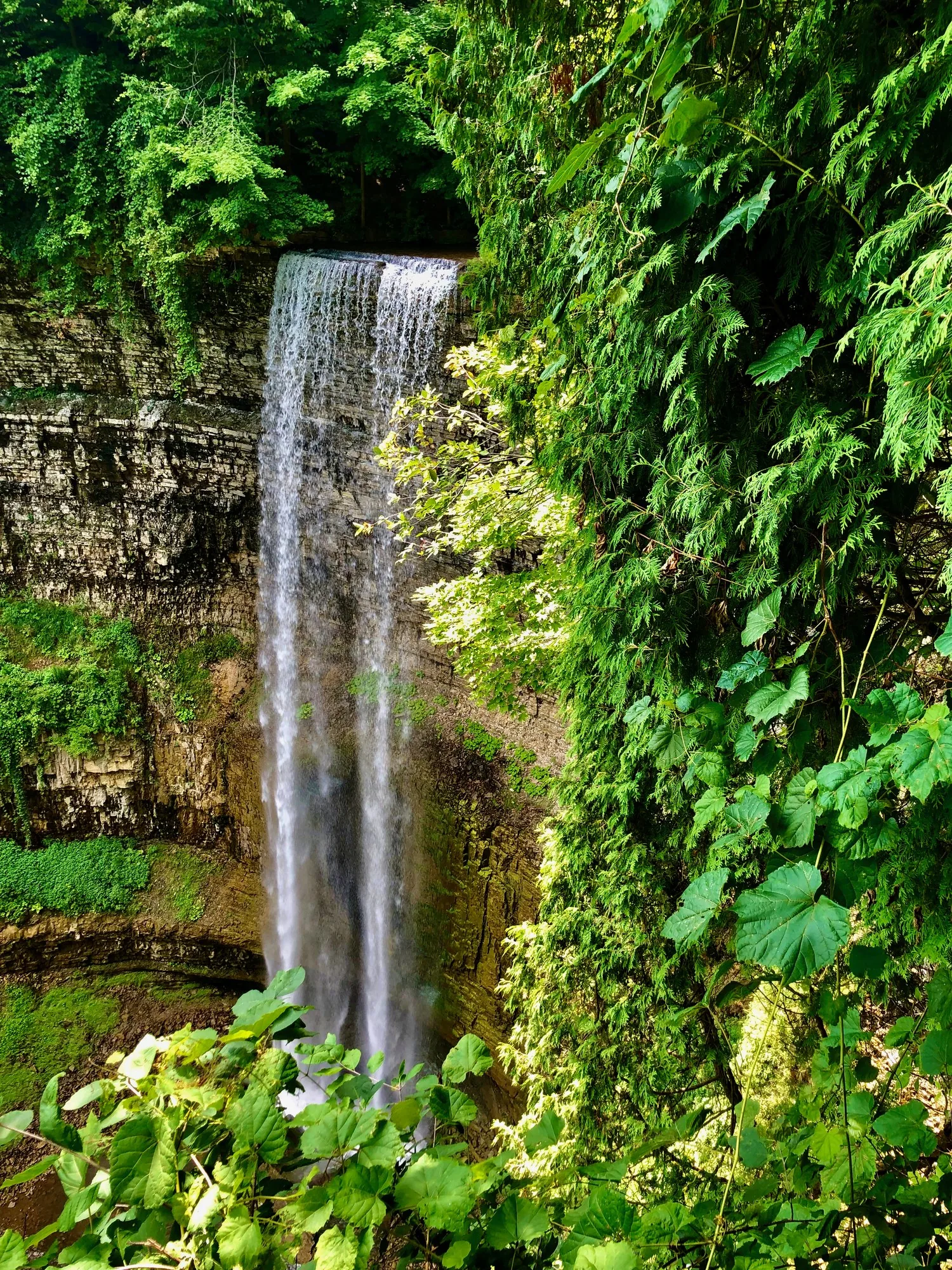 A waterfall in dense green.