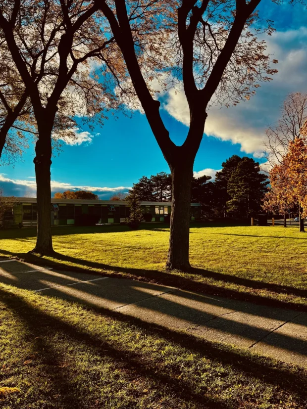 Autumn trees throwing long shadows across a path.
