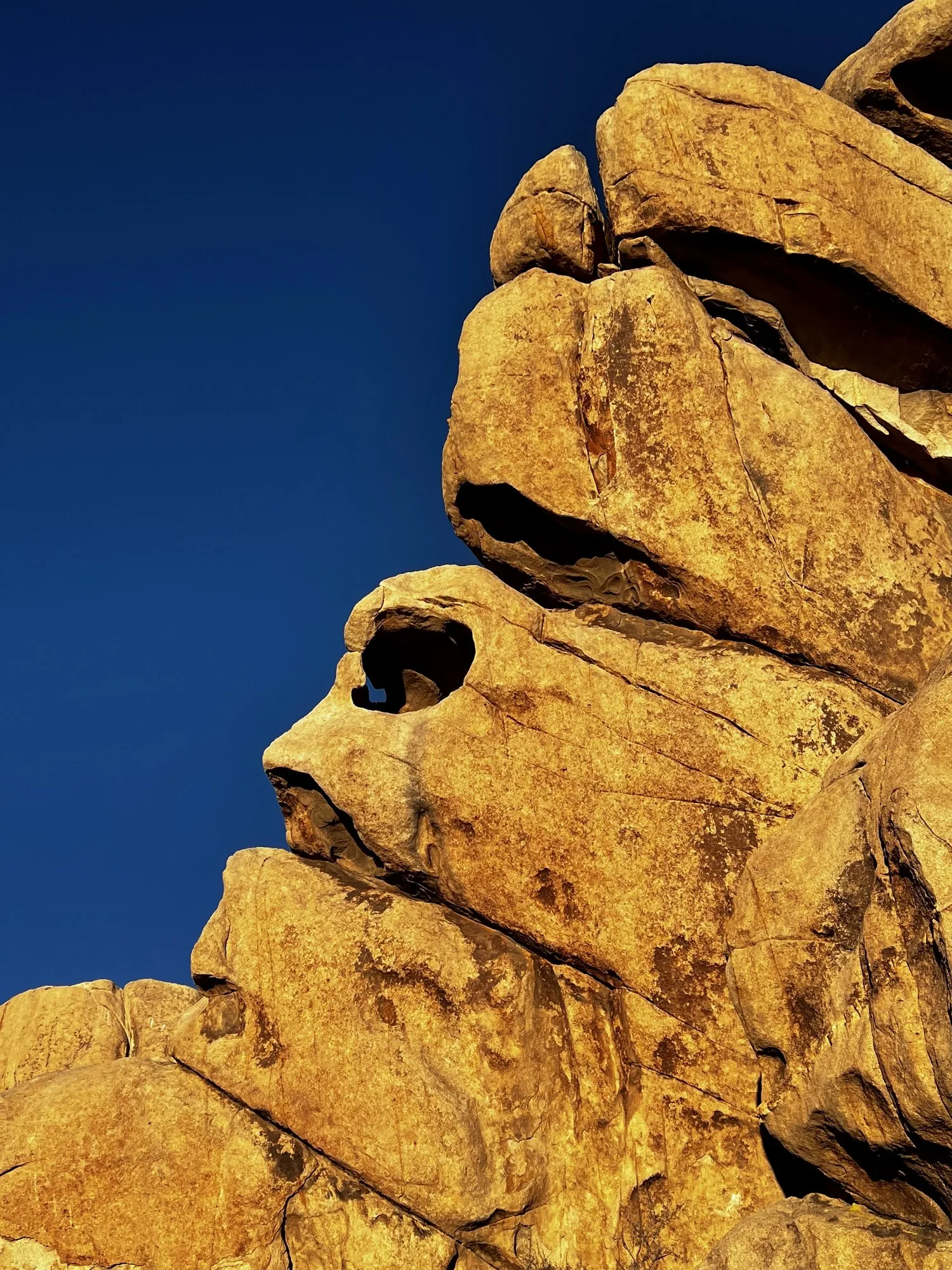 A gold weathered boulder against deep blue that reads as a face.