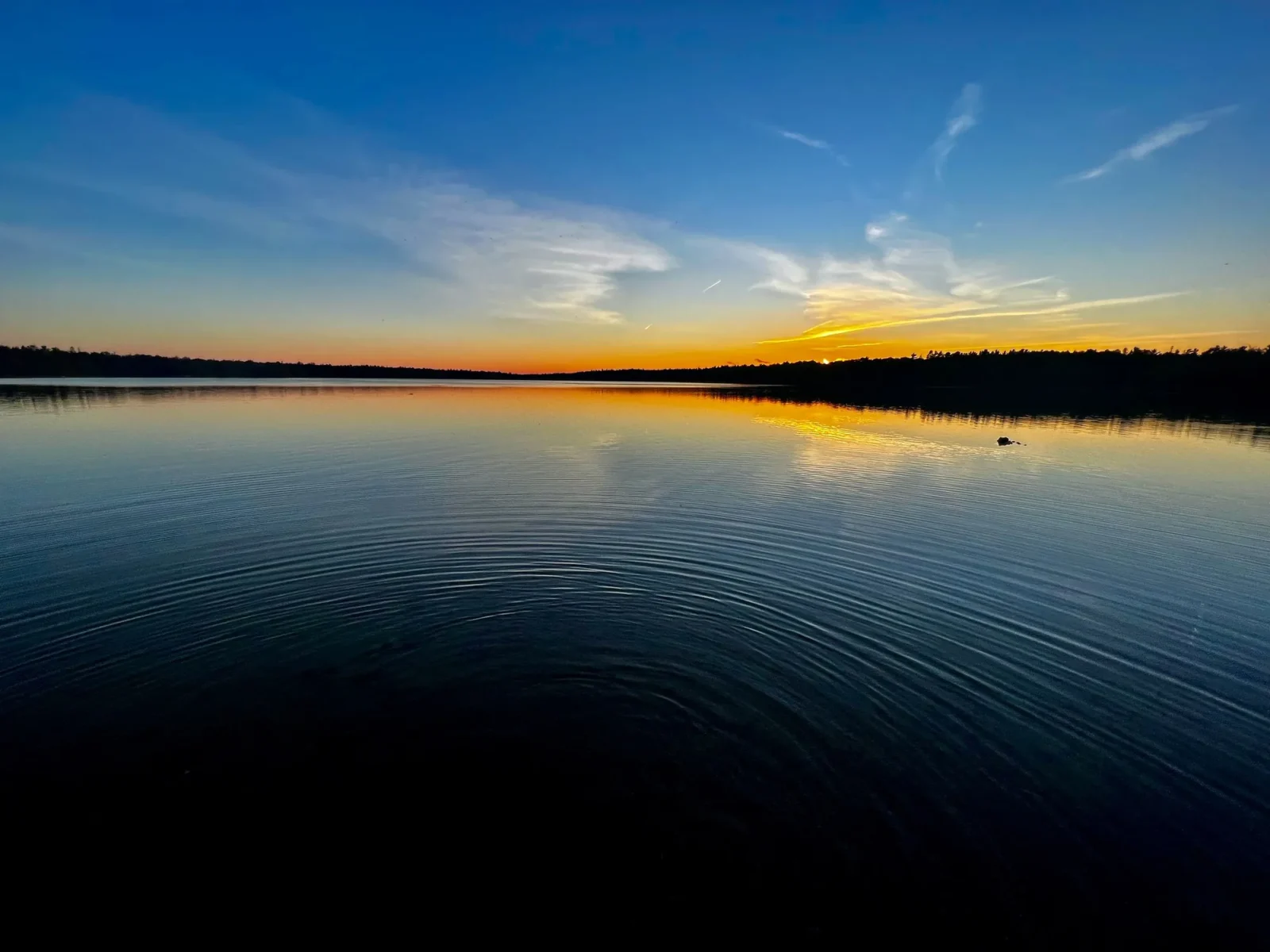 Blue hour, flat water, a low treeline.