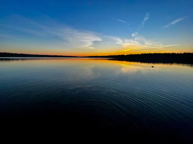Blue hour, flat water, a low treeline.