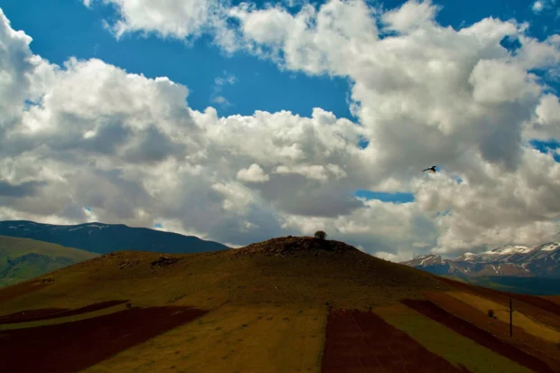 A ploughed hill under a bank of cloud.