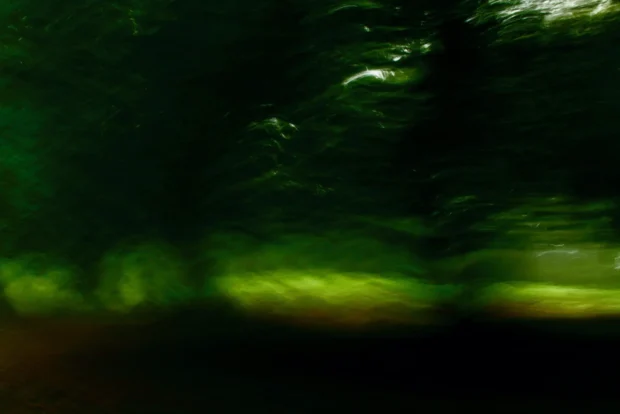 Green, moving, barely a thing at all.