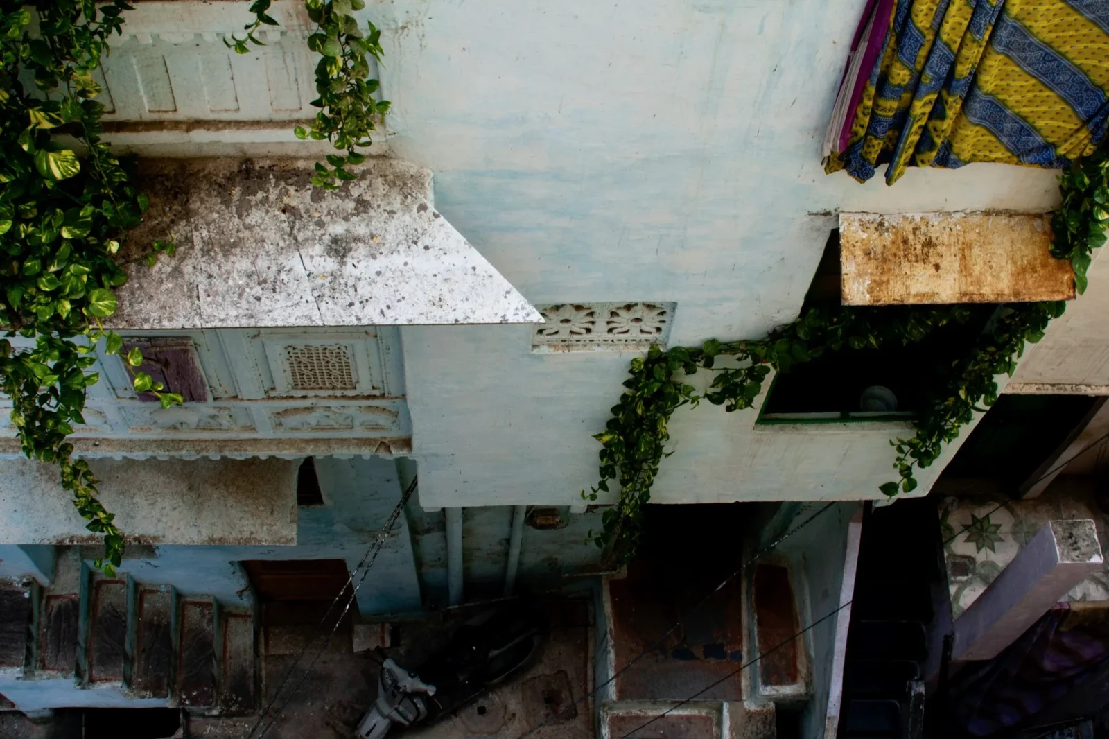 Weathered blue walls and vines.