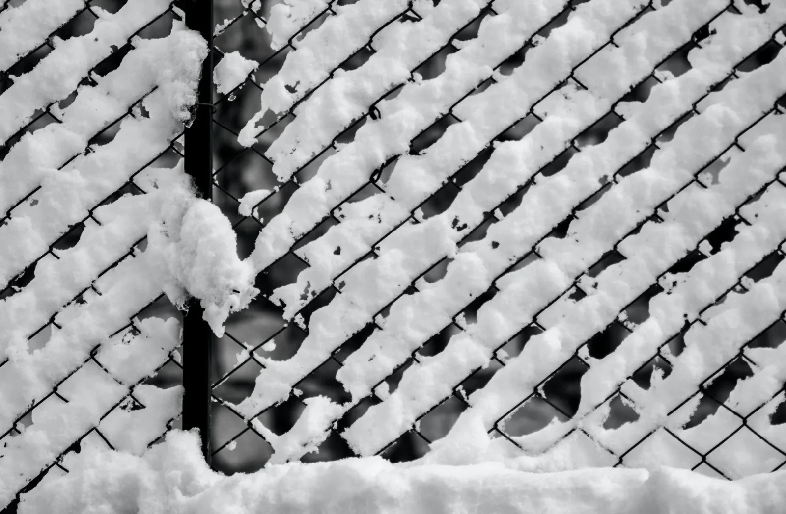 Snow caught in chain-link, black and white.