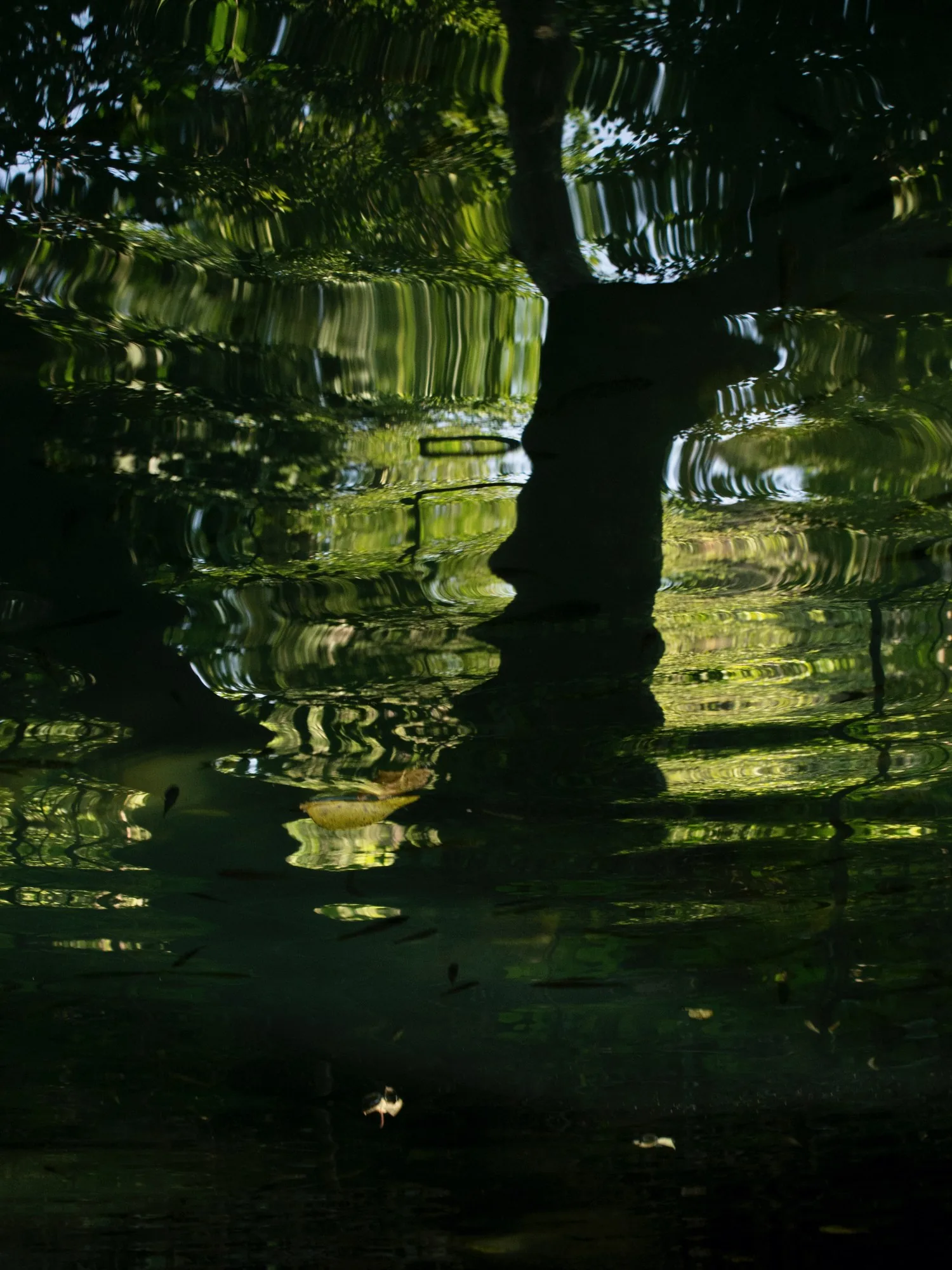 A tree trunk dissolving into green and black water, vertical.