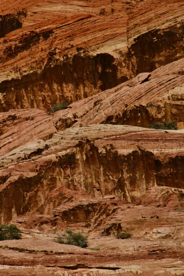 Diagonal cross-bedding filling the frame, no horizon.