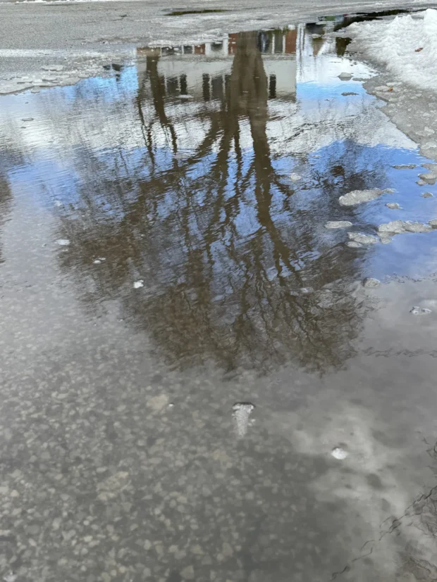 Trees and sky reflected in a wet parking lot, ice breaking the reflection.
