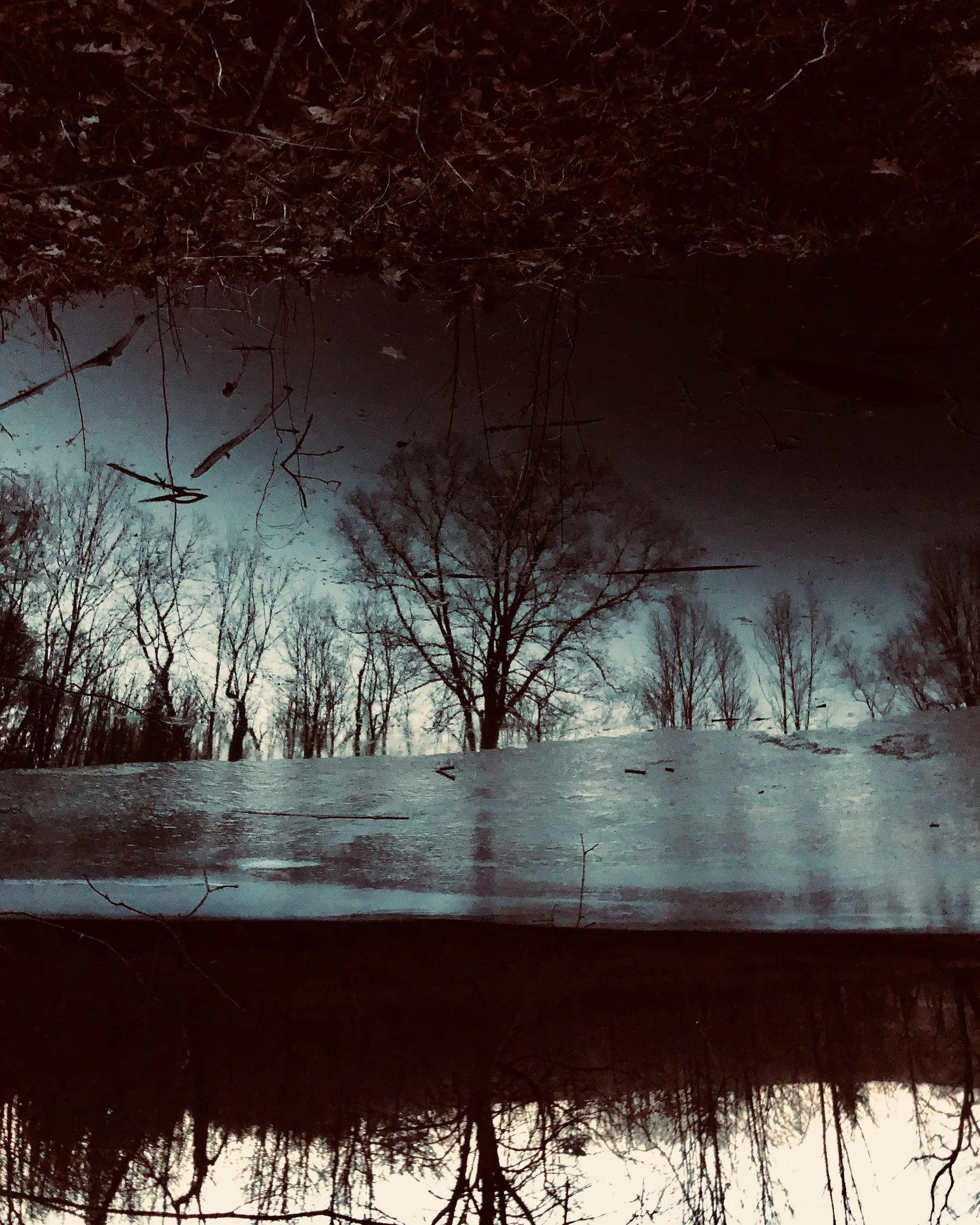 Winter trees and a snow bank mirrored in still water, the whole frame red brown.